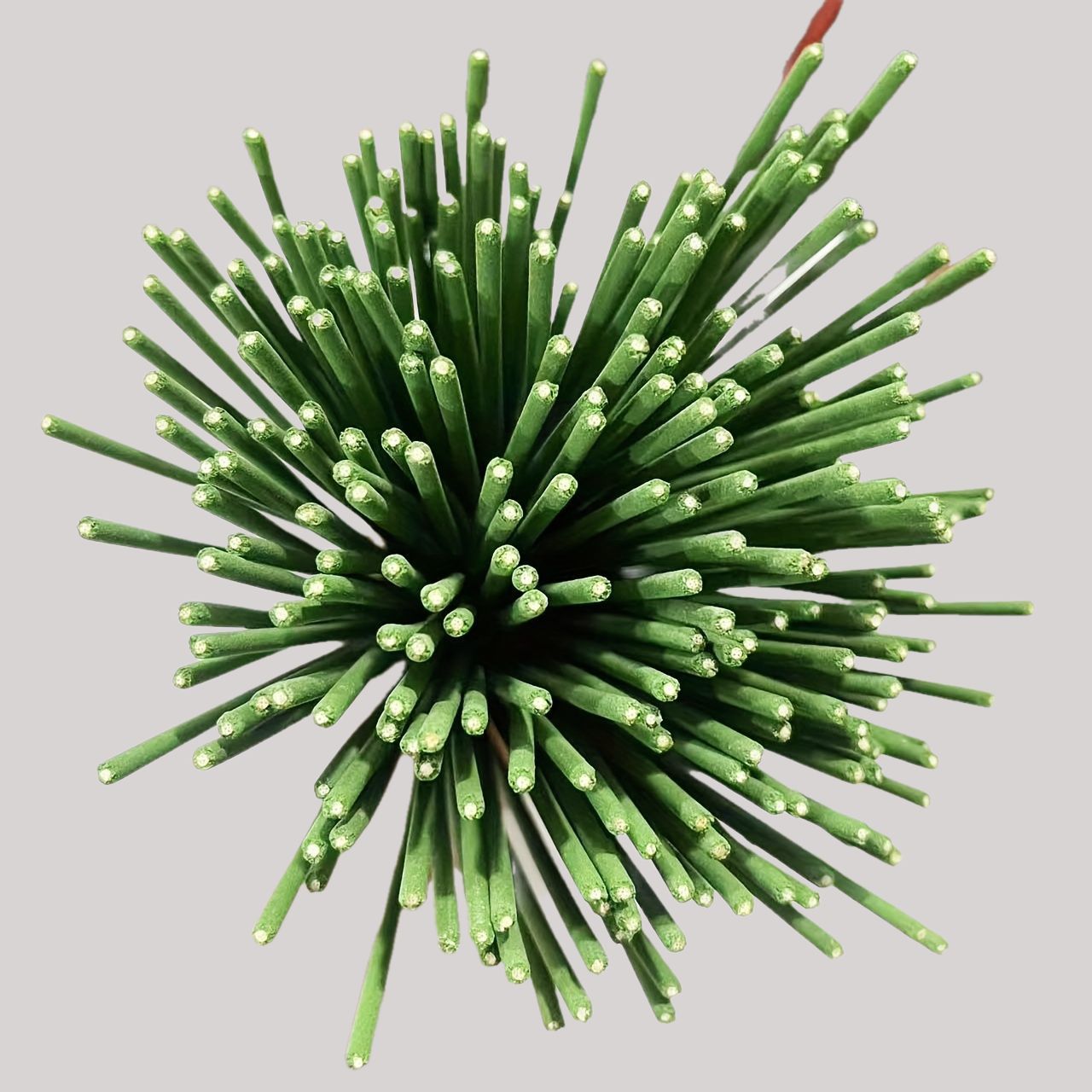 Reed Diffuser Sticks Lemongras - огляд і ціна Home Fragrance Oud